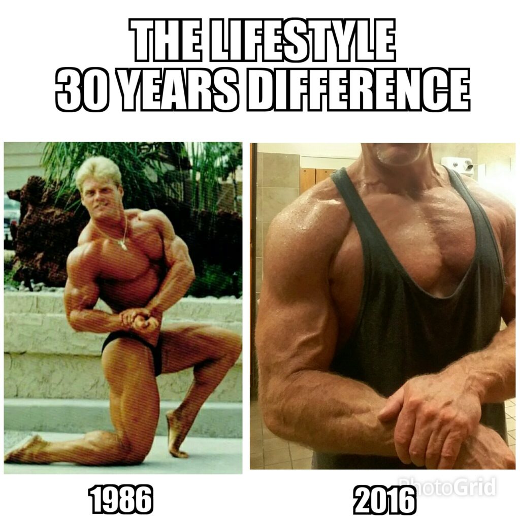 The Lifestyle 1986-2016